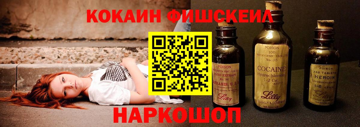 Cocaine Fish Scale  Вход с VPN  Советский  COCAIN  COCAIN Columbia 